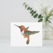 Carte Postale Colibri roux (Debout devant)
