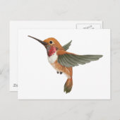 Carte Postale Colibri roux (Devant / Derrière)