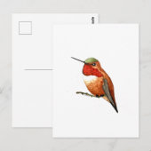 Carte Postale Colibri roux (Devant / Derrière)