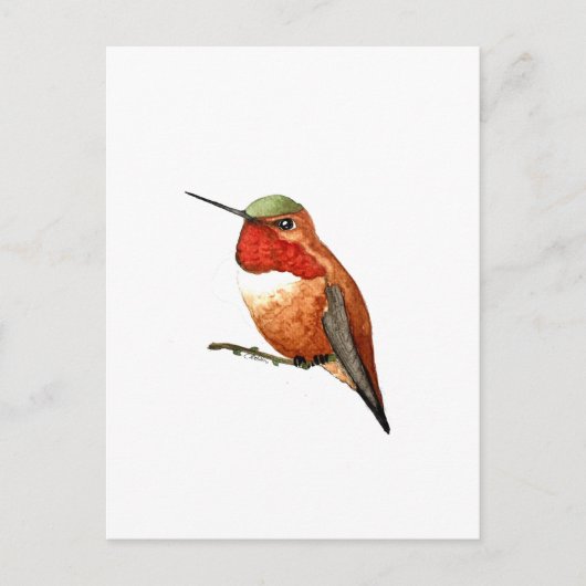 Carte Postale Colibri roux (Devant)