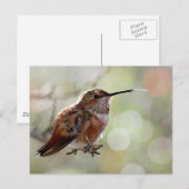Carte Postale Colibri roux Langue (Devant / Derrière)