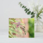 Carte Postale Colibri sur un plante à fleurs (Debout devant)