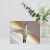 Carte Postale Colibri survolant (Debout devant)