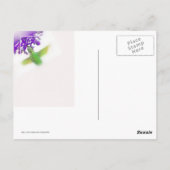 Carte Postale Colibri, Tout Droit (Dos)