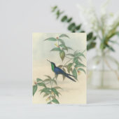 Carte Postale Colibri vert et bleu (Debout devant)