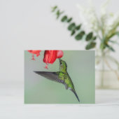 Carte Postale Colibri vert et Fleur rouge (Debout devant)