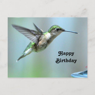Carte Postale Colibri vert Photo Vol Faune Anniversaire