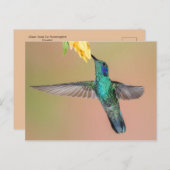 Carte Postale Colibri vert volant vers une fleur jaune (Devant / Derrière)