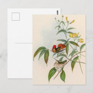 Carte Postale Colibri vintage par John Gould