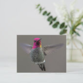 Carte Postale Colibri volant (Debout devant)