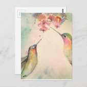 Carte Postale colibris (Devant / Derrière)