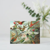 Carte Postale Colibris (Debout devant)