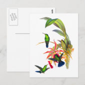 Carte Postale Colibris de John Gould avec les orchidées roses (Devant / Derrière)