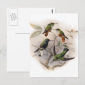 Carte Postale Colibris en vol (Devant / Derrière)