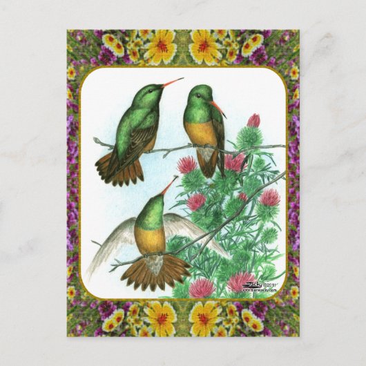 Carte Postale Colibris et fleurs #1 (Devant)