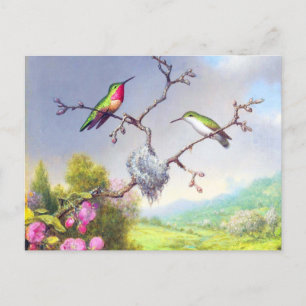Carte Postale Colibris et fleurs d'art 