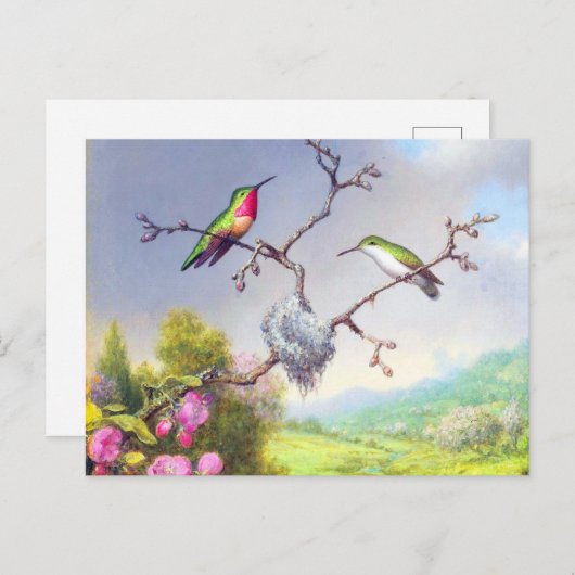 Carte Postale Colibris et fleurs d'art  (Devant / Derrière)