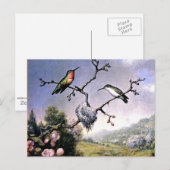 Carte Postale Colibris et fleurs de pomme (Devant / Derrière)