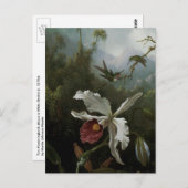 Carte Postale Colibris et orchidée blanche par Martin J. Heade (Devant / Derrière)