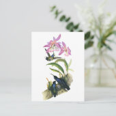 Carte Postale Colibris et orchidées roses (Debout devant)