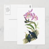 Carte Postale Colibris et orchidées roses (Devant / Derrière)