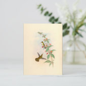 Carte postale Colibris & Fleurs (Debout devant)