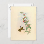Carte postale Colibris & Fleurs (Devant / Derrière)