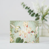 Carte Postale Colibris Vintages (Debout devant)