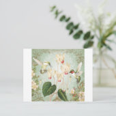 Carte Postale Colibris Vintages (Debout devant)