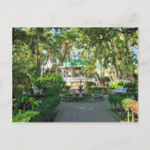 Carte postale Colima, Colima, Mexique (Devant)