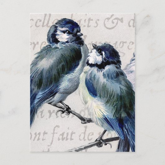 Carte Postale Collage bleu vintage d'oiseaux - oiseaux bleus (Devant)