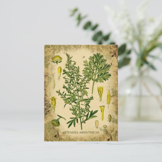 Carte Postale Collage botanique d'Absinthe (Debout devant)