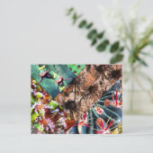Carte postale Collage Cactus (Debout devant)