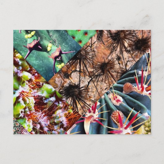 Carte postale Collage Cactus (Devant)