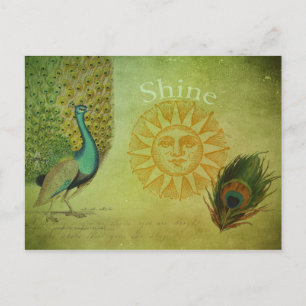 Carte Postale Collage d'art Peacock vintage
