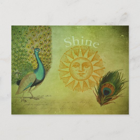 Carte Postale Collage d'art Peacock vintage (Devant)
