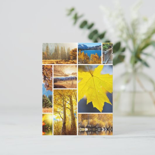 Carte Postale Collage d'automne (Debout devant)