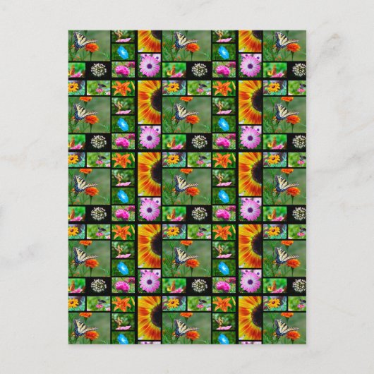 Carte Postale Collage de beauté de printemps (Devant)