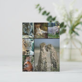 Carte Postale Collage de Big Cat (Debout devant)