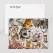 Carte postale collage de chat (Devant / Derrière)