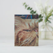 Carte Postale Collage de chat roux adorable (Debout devant)