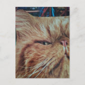 Carte Postale Collage de chat roux adorable (Devant)