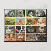 Carte Postale Collage de chiot (Devant)
