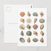Carte Postale Collage de coquillages (Devant / Derrière)