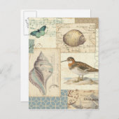 Carte Postale Collage de coquillages (Devant / Derrière)
