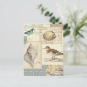 Carte Postale Collage de coquillages (Debout devant)