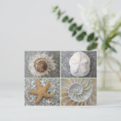 Carte Postale Collage de coquillages (Debout devant)