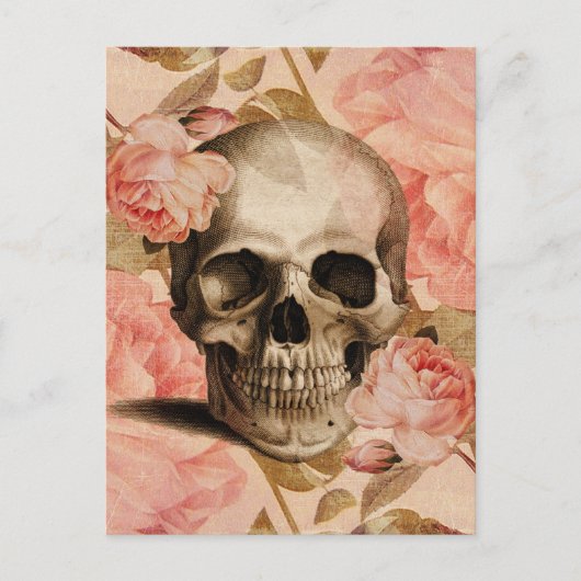 Carte Postale Collage de crâne Rosa vintage (Devant)