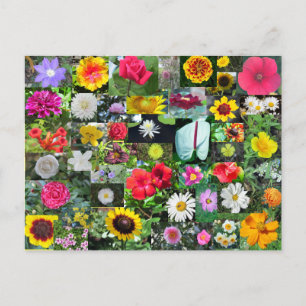 Carte postale Collage de fleurs