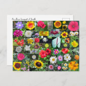 Carte postale Collage de fleurs (Devant / Derrière)